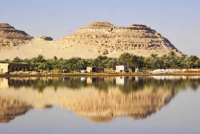 2 Nights White Desert & Bahariya Oasis (3)
