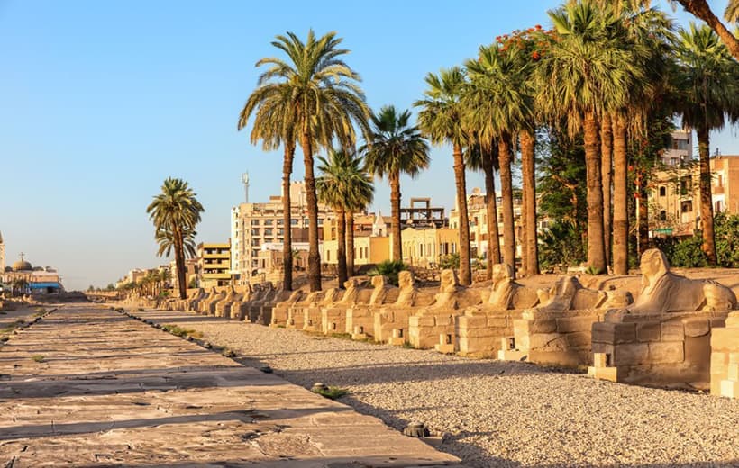 3 Nights Desert From Cairo To Luxor (3)