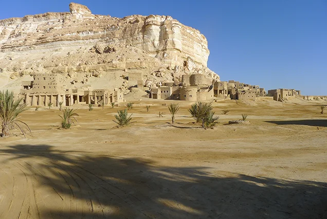 Baharyia Oasis Overnight From Cairo (7)