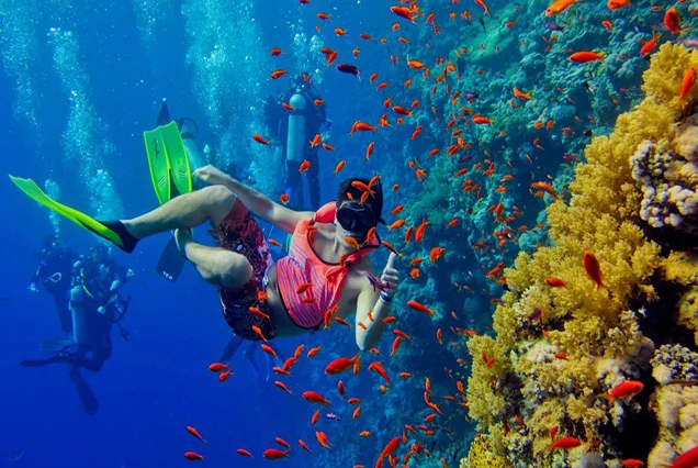 Diving and Dive Safari trips in Dahab (1)