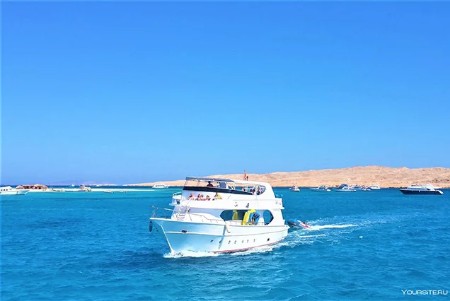 Diving and Dive Safari trips in Dahab (2)