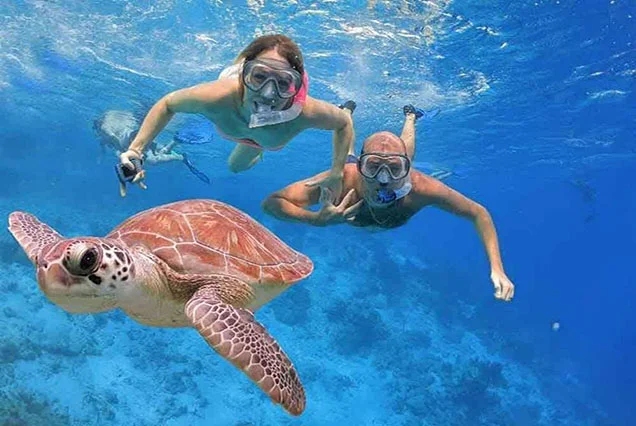 Diving and Dive Safari trips in Dahab (4)