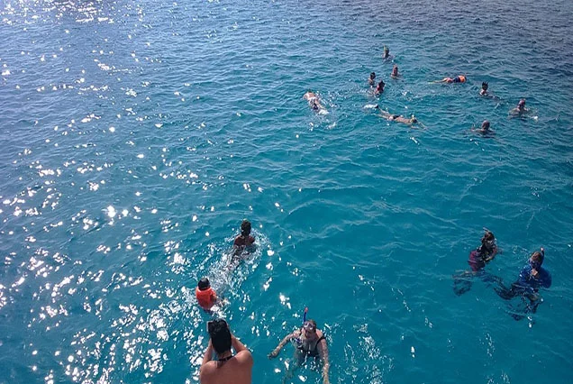 Diving and Dive Safari trips in Dahab (5)