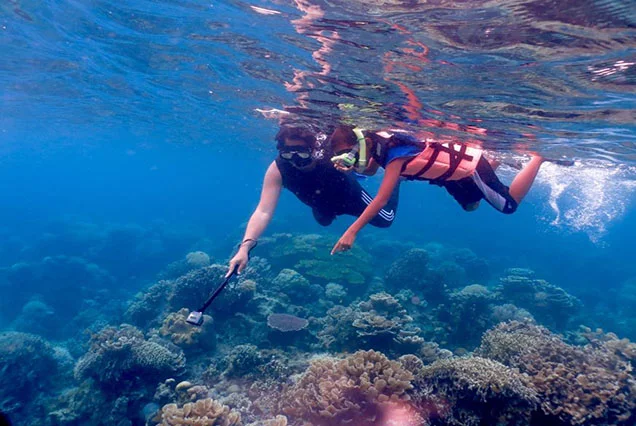 Diving and Dive Safari trips in Dahab (6)