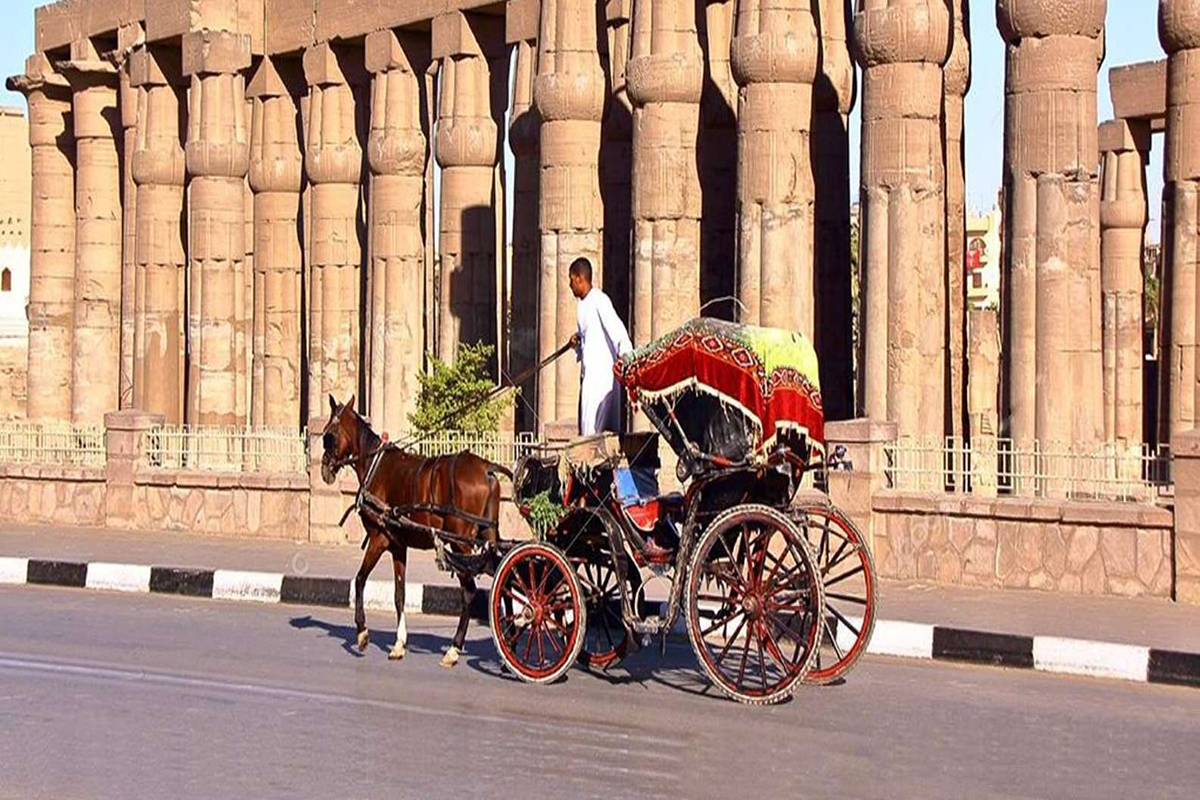 Luxor City Tour Luxor City Tour with Horse Carriage (1)with Horse Carriage (1)
