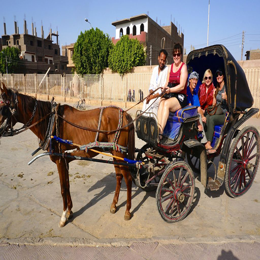 Luxor City Tour with Horse Carriage (2)