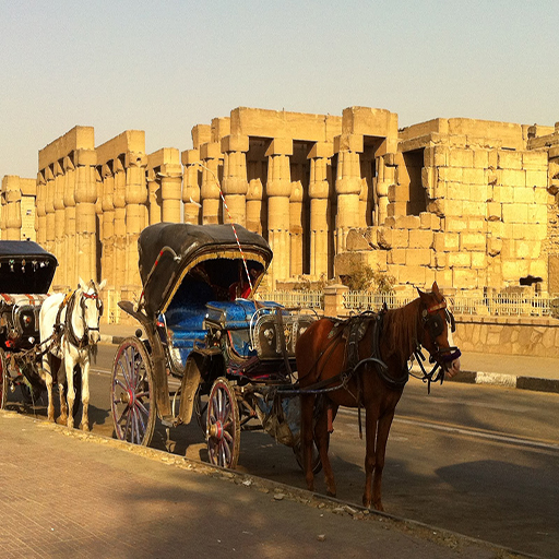 Luxor City Tour with Horse Carriage (3)