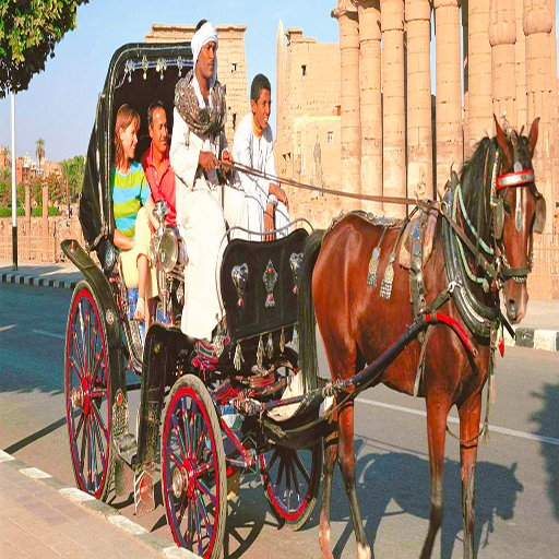 Luxor City Tour with Horse Carriage (4)