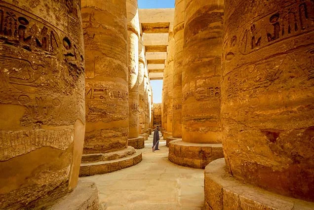 Private Day Tour to the West bank and East Bank of luxor (2)