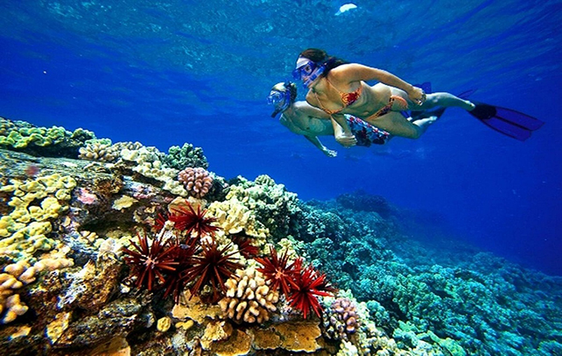 Sahara And Red Sea Explorer (2)